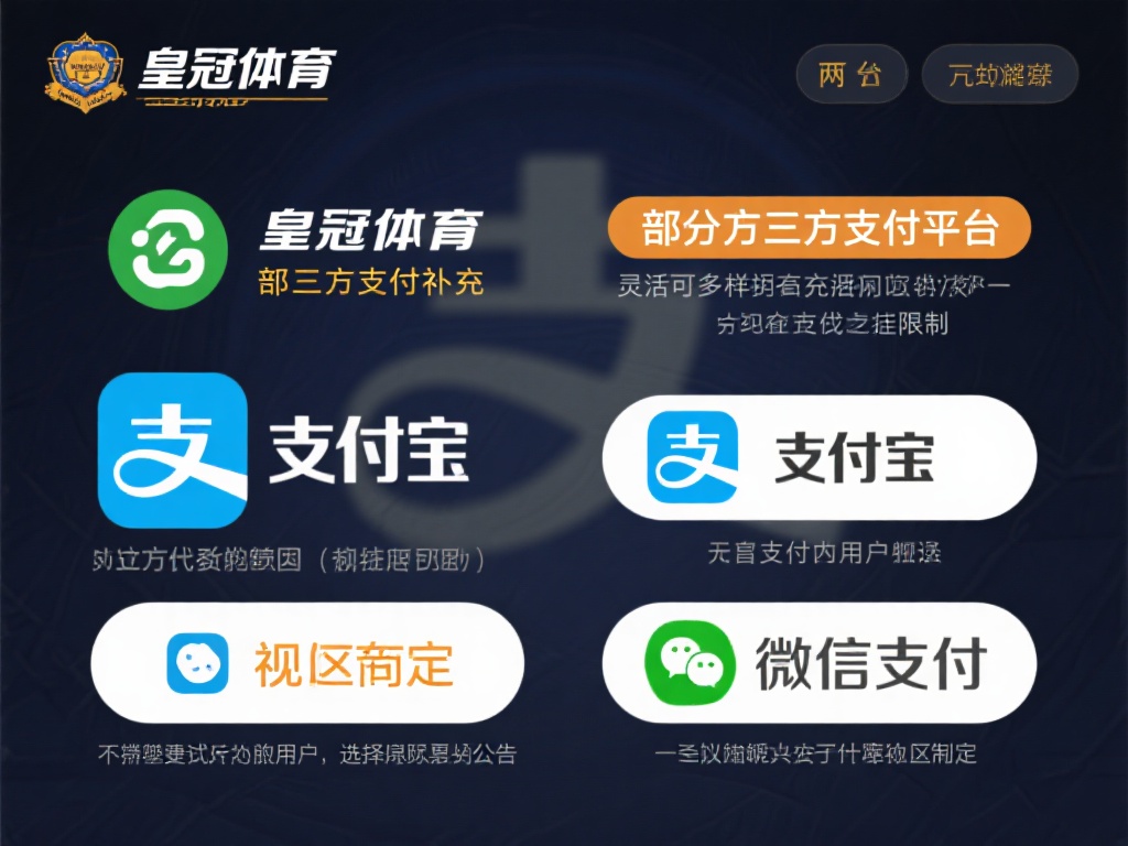 第三方支付平台：灵活多样的补充
除了上述两种方式